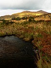 11 Crinnagh River