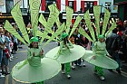 Saint Patricks Day Parade Killarney 