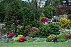 Zahrada - Muckross Gardens 3