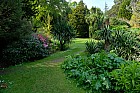 Zahrada - Muckross Gardens 4