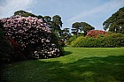 Zahrada - Muckross Gardens 5