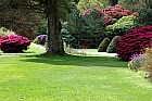 Zahrada - Muckross Gardens