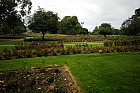 Mestsky park - Rose Garden